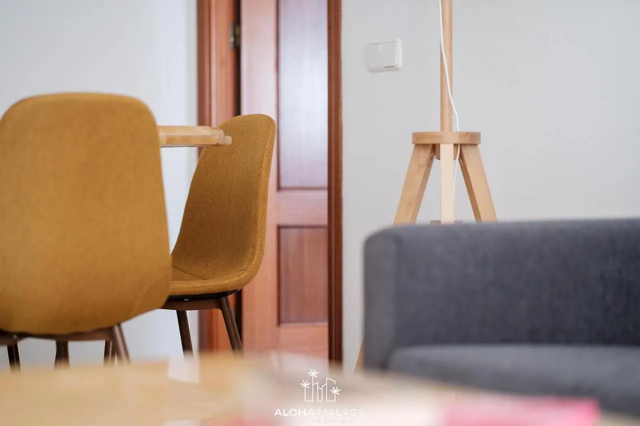 Wonderful Malaga Centro Apartment