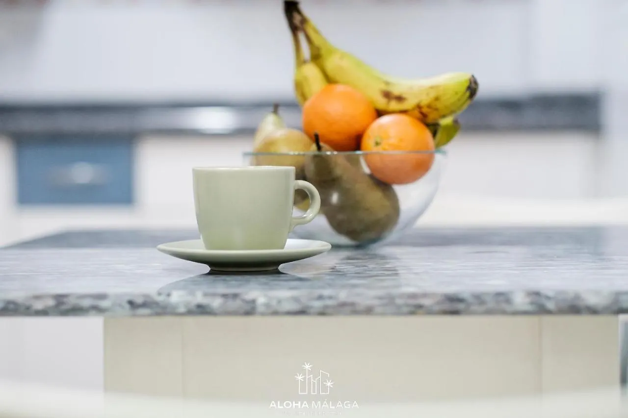 Wonderful Malaga Centro Apartment
